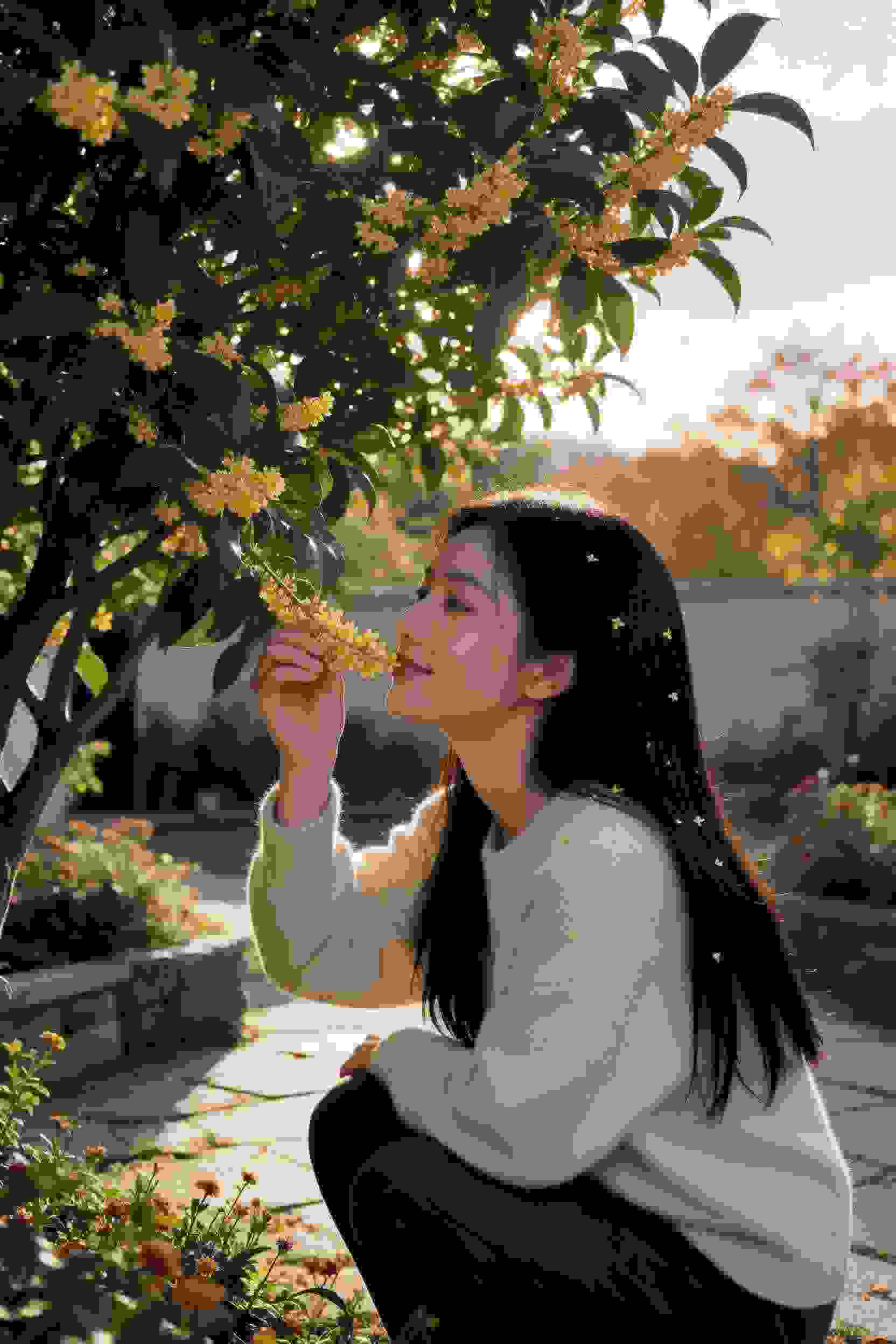 少女的秘密